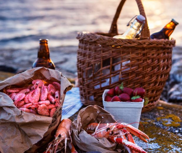 Sunset Picknick- Photo Cred Roger Borgelid Sunset Picknick- Photo Cred Roger Borgelid
